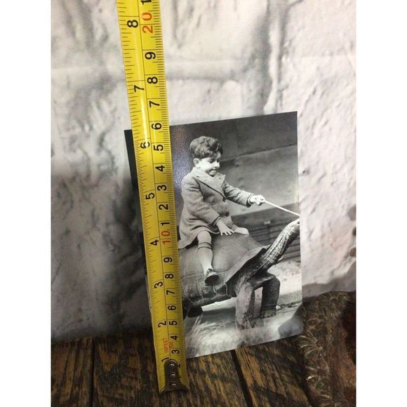 Reprint Photo Odd Bizzare Boy Riding Turtle Reprint Vintage - Picture 3 of 10